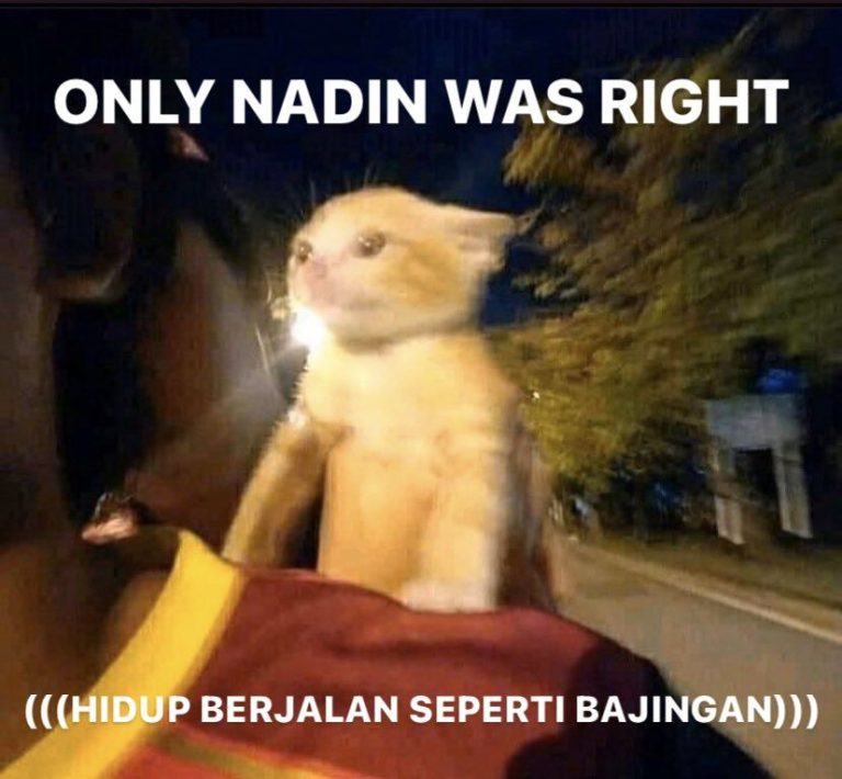 nadin